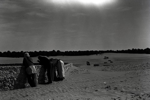 بادیه نشینان عربستان پیش از نفت